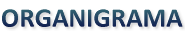 ORGANIGRAMA